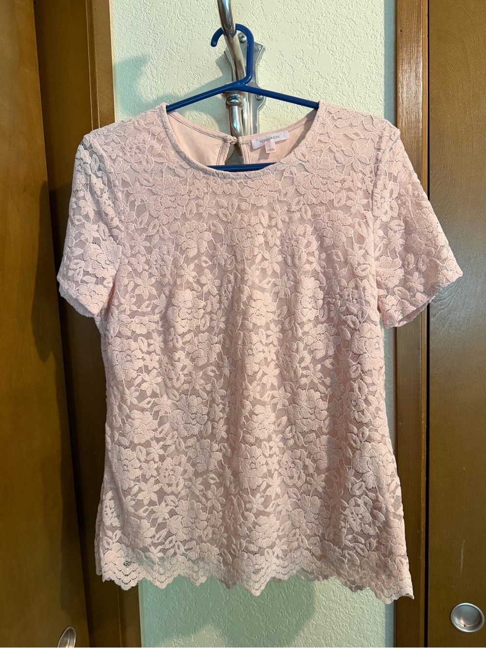 Soft Pink Floral Lace Short Sleeve Top